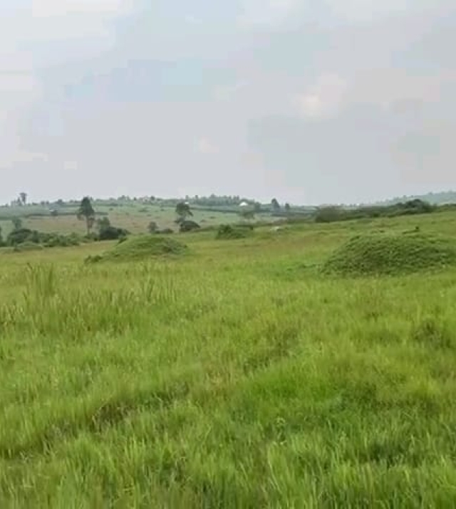 WhatsApp Image 2024-06-25 at 1.32.41 PM 2.jpeg